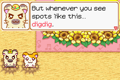 Tottoko Hamtaro 3: Love Love Daiboken Dechu screenshot 4 for GameBoy Advance
